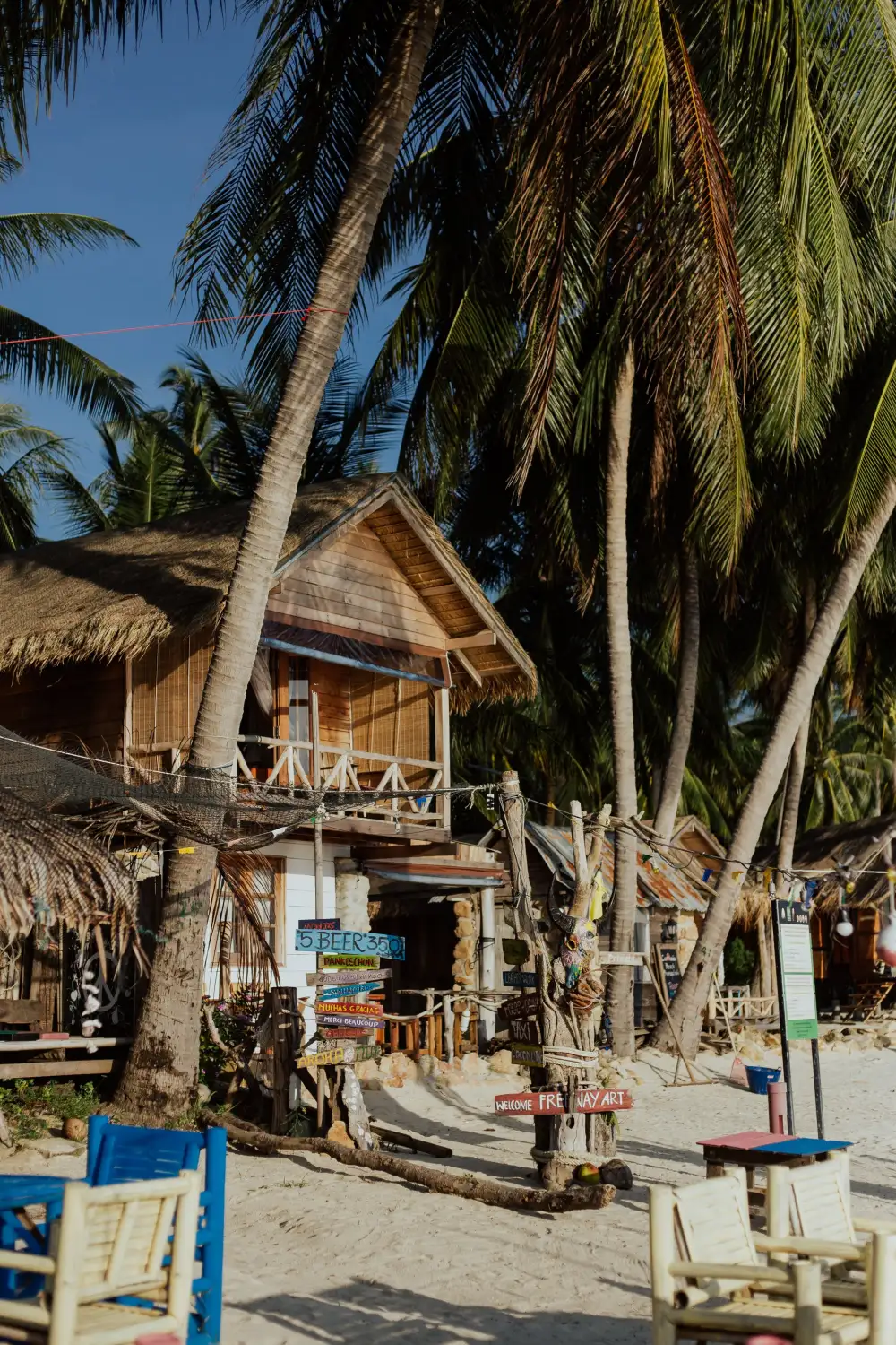 Beach cabanas and seating under coconut palms